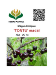 Maguskirsipuu Cerasus avium sün Prunus avium 'Tontu'