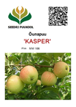 Õunapuu Malus domestica 'Kasper'