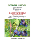 Ploomipuu Prunus 'Suhkruploom'