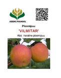 Ploomipuu Prunus 'Vilmitar'