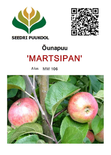 Õunapuu Malus domestica 'Martsipan'