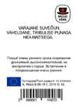 Õunapuu Malus domestica 'Pirja'