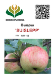 Õunapuu Malus domestica 'Suislepp'