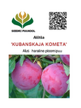 Kultuuralõtša Prunus divaricata 'Kubanskaja Kometa'