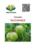 Karusmari Ribes uva-crispa 'Mucurines'