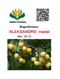 Magus kirsipuu Cerasus avium sün Prunus avium 'Aleksandrs'