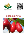 Kirss-kontpuu ehk kisiil Cornus mas