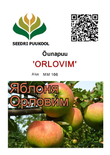 Õunapuu Malus domestica 'Orlovim'