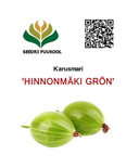 Karusmari Ribes uva-crispa 'Hinnonmäki Grön'