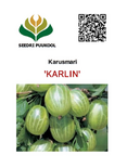 Karusmari Ribes uva-crispa 'Karlin'