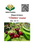 Magus-kirsipuu Cerasus avium 'Tõmmu'