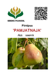 Pirn 'Pamjatnaja'