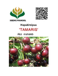 Hapu-kirsipuu Cerasus vulgaris sün Prunus vulgaris 'Tamaris'
