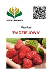 Harilik vaarikas Rubus idaeus 'Radziejowa'