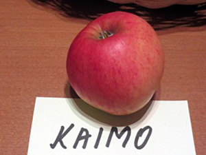Õun 'Kaimo'