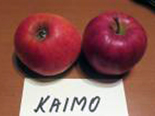 Õun 'Kaimo'