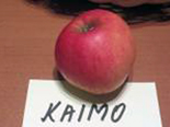 Õun 'Kaimo'
