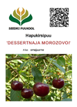 Hapu-kirsipuu Cerasus vulgaris sün Prunus vulgaris 'Dessertnaja Morozovoi'
