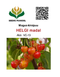 Maguskirsipuu Cerasus avium sün Prunus avium Helgi