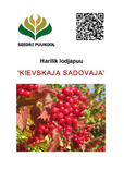 Harilik lodjapuu Viburnum opulus 'Kievskaja sadovaja'
