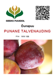 Õunapuu Malus domestica 'Punane Talvenauding'