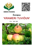 Õunapuu Malus domestica 'Krameri Tuviõun'