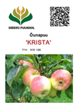 Õunapuu Malus domestica 'Krista'