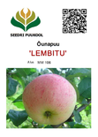 Õunapuu Malus domestica 'Lembitu'