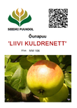 Õunapuu Malus domestica 'Liivi Kuldrenett'