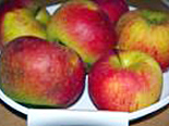 Õun 'Madli'