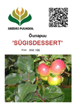 Õunapuu Malus domestica 'Sügisdessert'