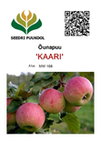 Õunapuu Malus domestica 'Kaari'