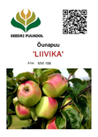 Õunapuu Malus domestica 'Liivika'