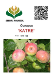 Õunapuu Malus domestica 'Katre'