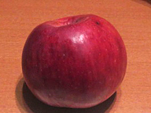 Õunapuu Malus domestica 'Kikitriinu'