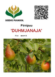 Pirn ’Duhmjanaja’