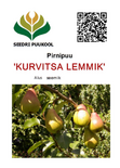 Pirn 'Kurvitsa Lemmik'