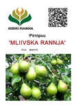 Pirn ’Mliivska Rannja’