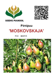 Pirn ’Moskovskaja’