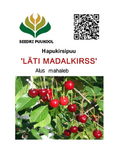 Hapu-kirsipuu Cerasus vulgaris sün Prunus vulgaris 'Läti Madal'