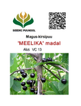 Maguskirsipuu Cerasus avium sün Prunus avium 'Meelika'