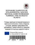 Maguskirsipuu Cerasus avium sün Prunus avium 'Zorka'