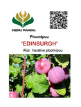 Ploomipuu Prunus 'Edinburgh'