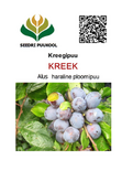 Prunus insititia Kreek