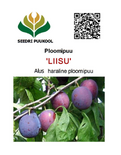 Ploomipuu Prunus 'Liisu'